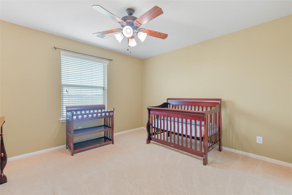1078 Lasso Court, Alvin, Texas image 19
