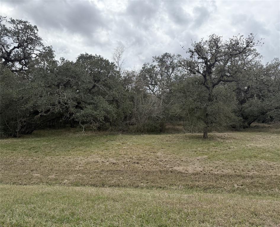114 Center Tree Drive, Palacios, Texas image 1