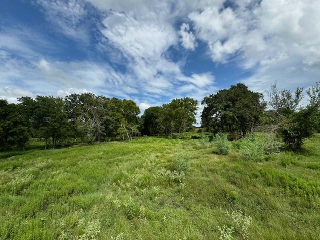 Tract 5 Walhalla Road, Round Top, Texas image 3