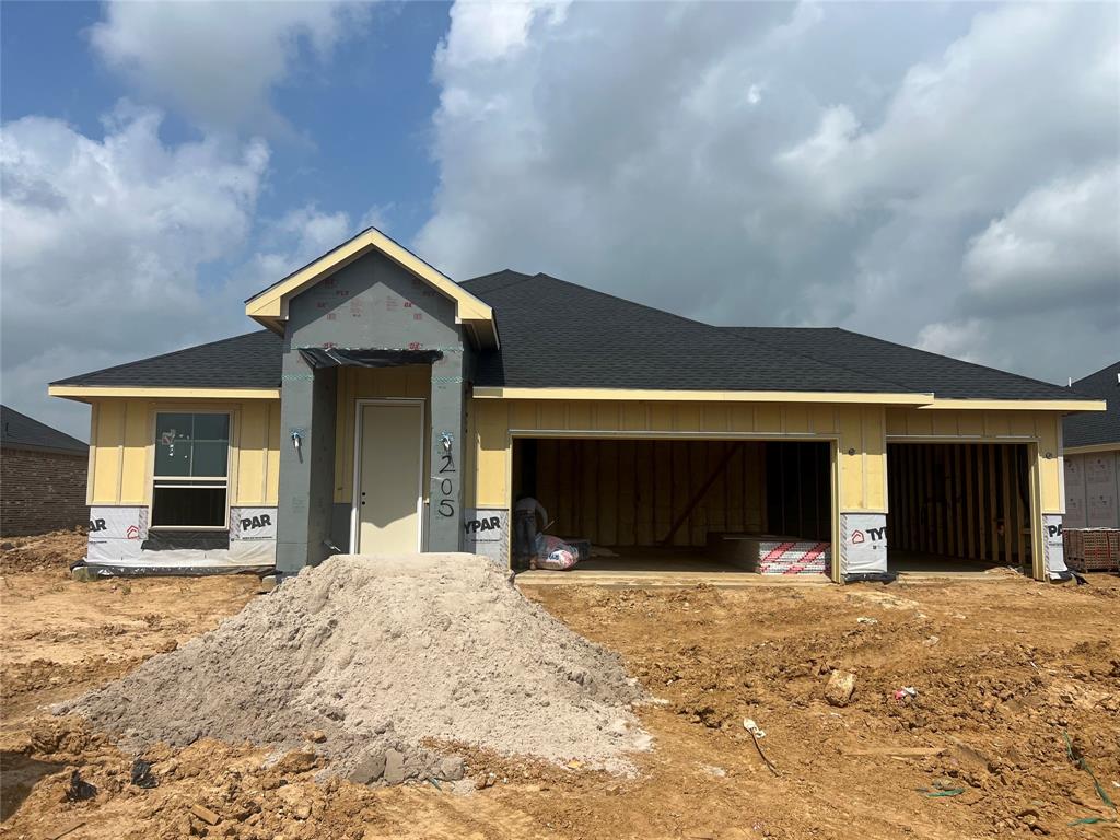 205 Sandhill Grove Trail, Waller, Texas image 1