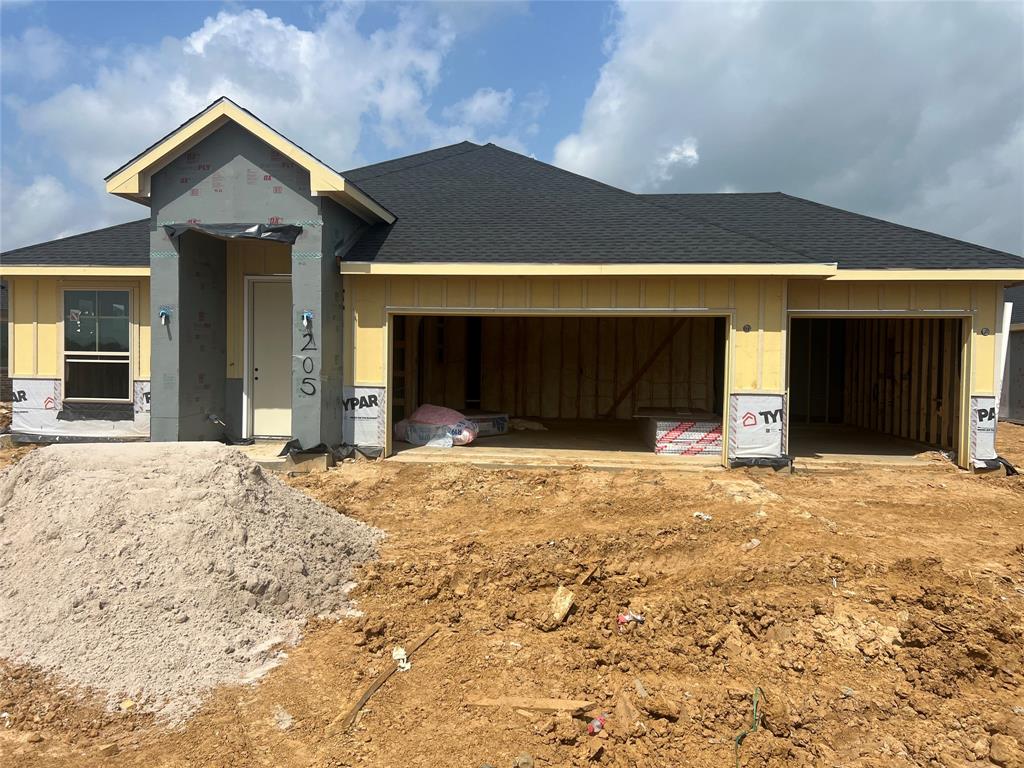 205 Sandhill Grove Trail, Waller, Texas image 3