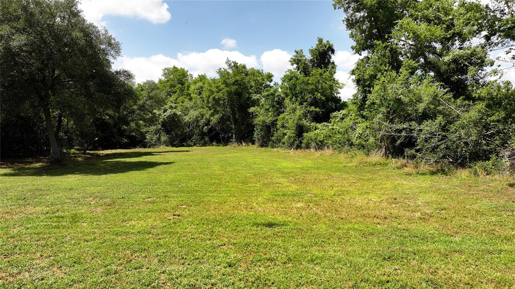 Tbd Angus, Onalaska, Texas image 3