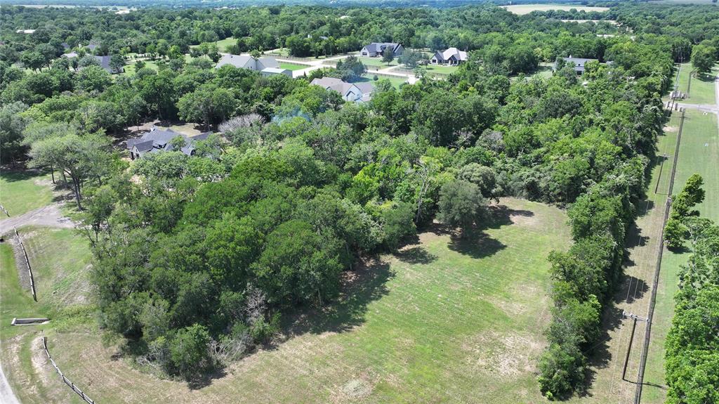 Tbd Angus, Onalaska, Texas image 5