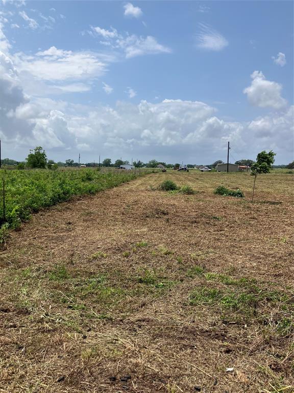 Llano Lane, Boling, Texas image 10