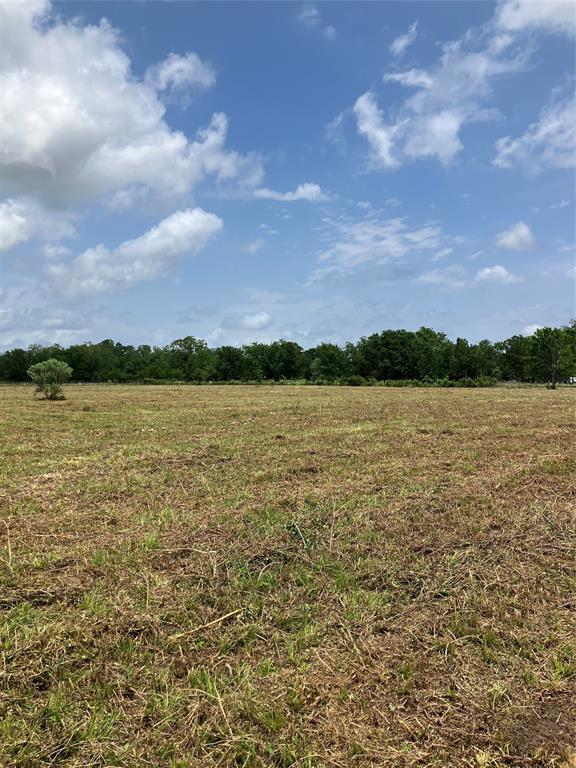 Llano Lane, Boling, Texas image 3