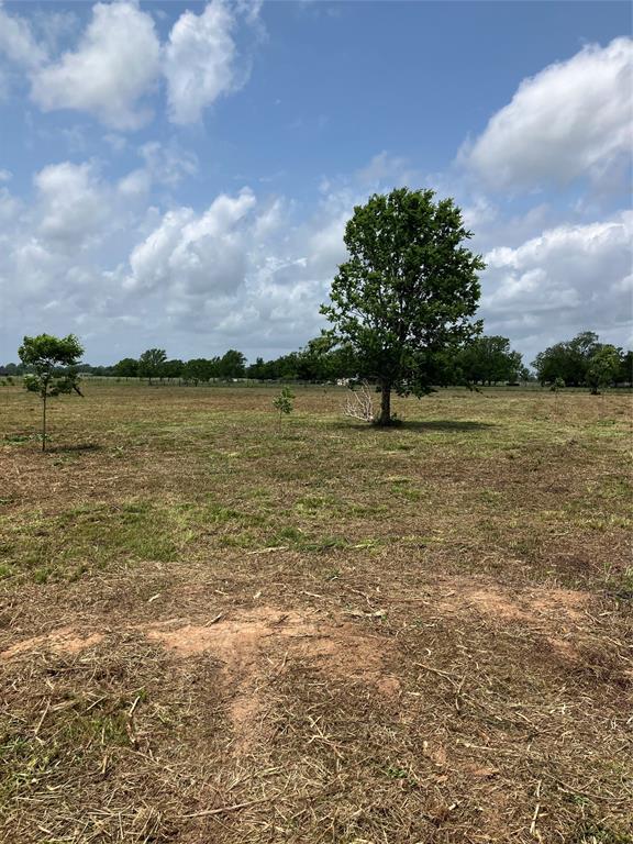 Llano Lane, Boling, Texas image 12