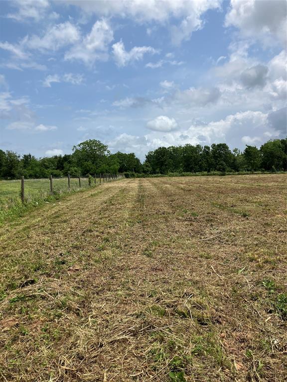 Llano Lane, Boling, Texas image 6