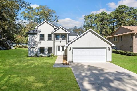 14159 Lakepoint Drive Willis TX 77318