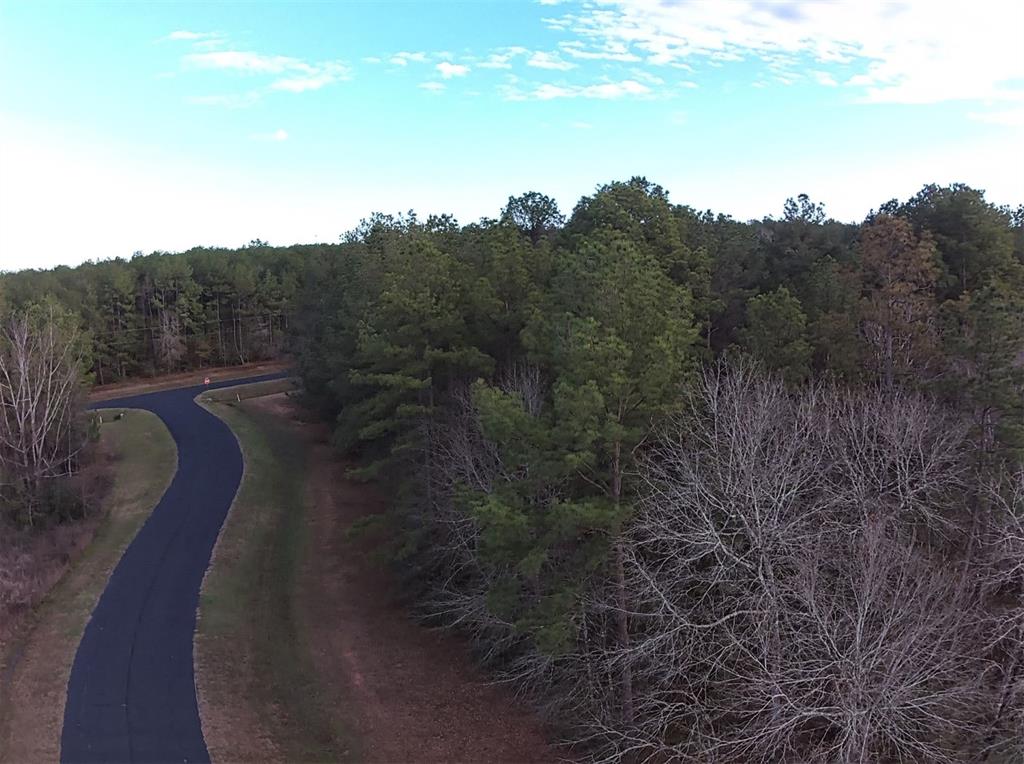 30091 Round Up Drive, Waller, Texas image 3