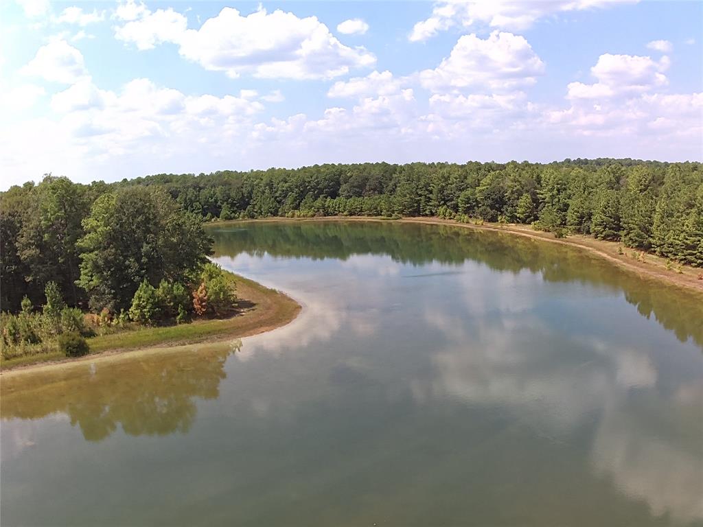 30091 Round Up Drive, Waller, Texas image 7