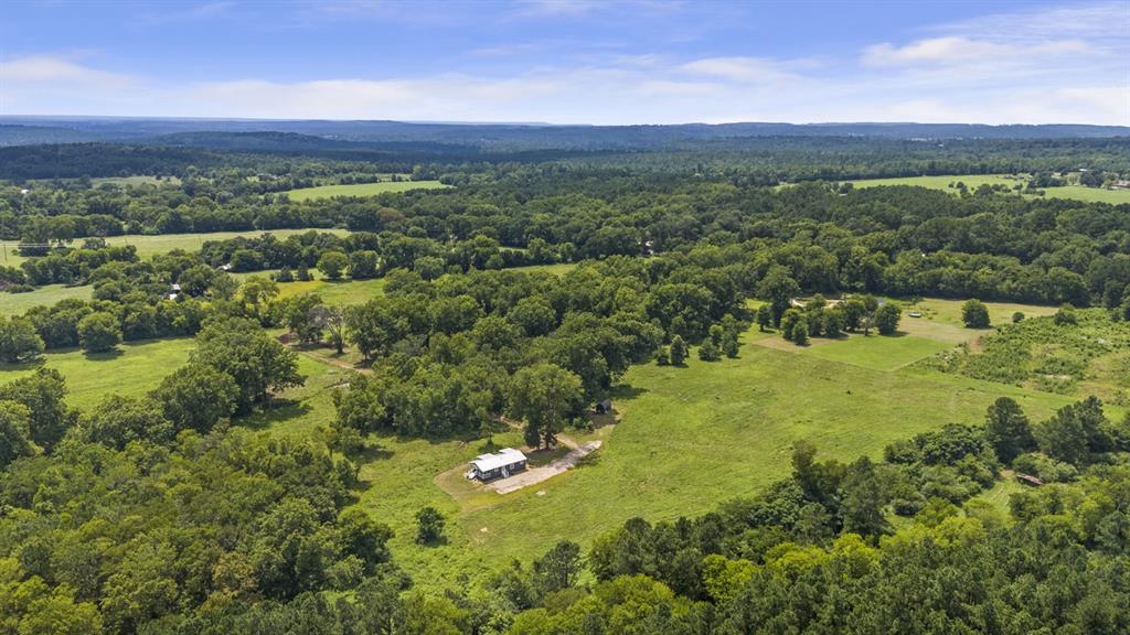 349 25 Acres County Road 2801, Alto, Texas image 34