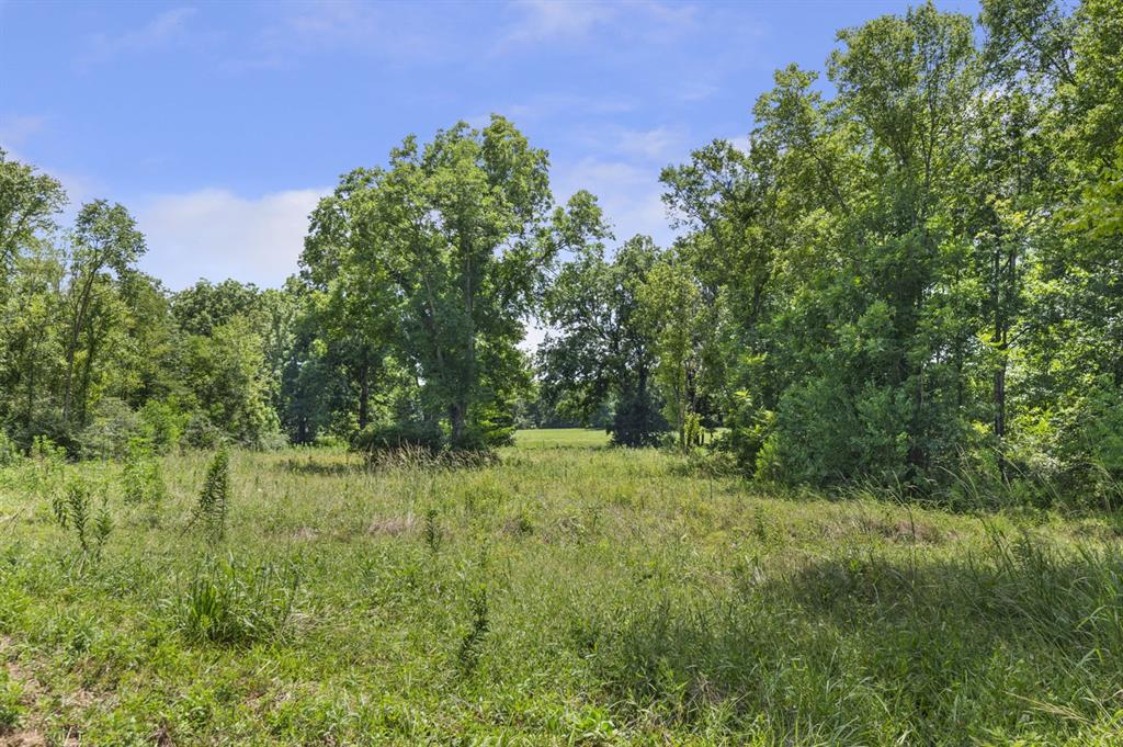 349 25 Acres County Road 2801, Alto, Texas image 30