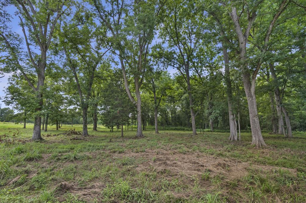 349 25 Acres County Road 2801, Alto, Texas image 29