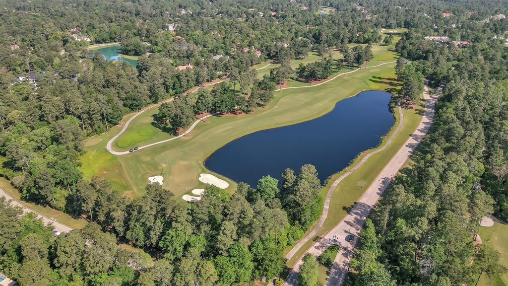 63 Golden Scroll Circle, The Woodlands, Texas image 48