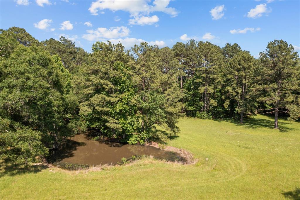 3210 Fm 3065, Colmesneil, Texas image 3