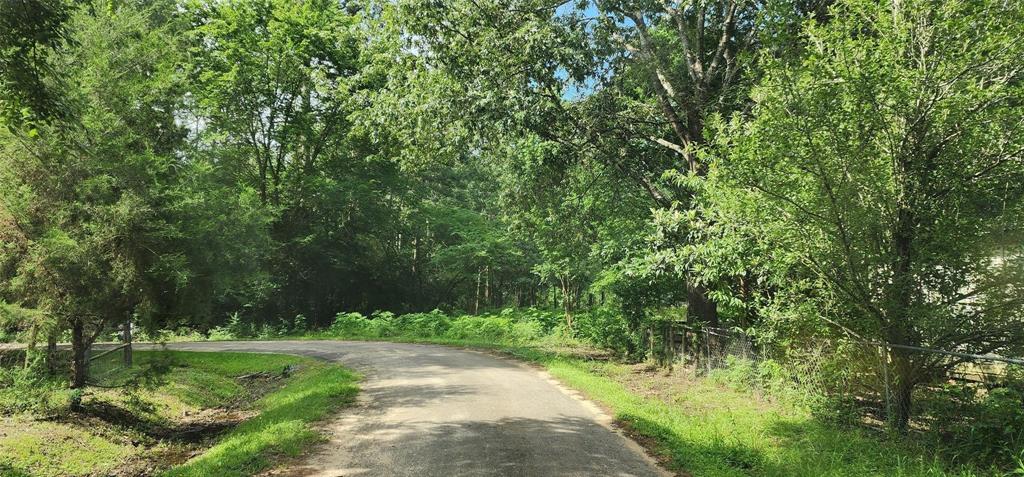000 Pigeon Drive, Livingston, Texas image 2
