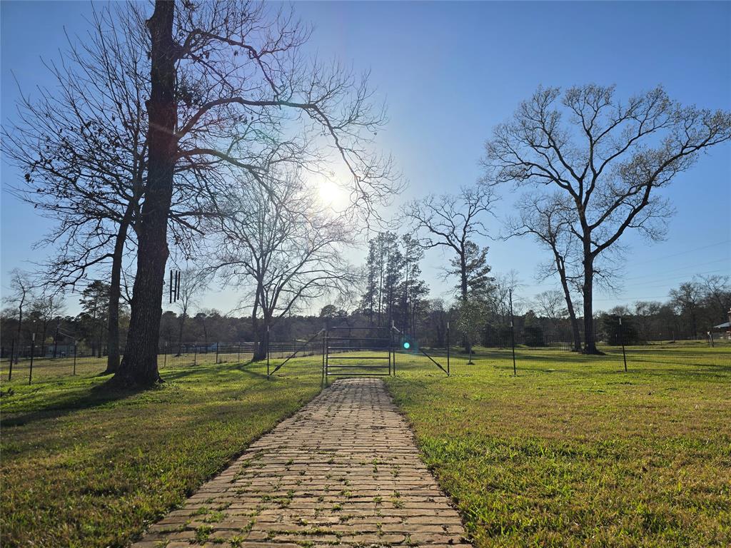 17203 Whippoorwill Road, Navasota, Texas image 30
