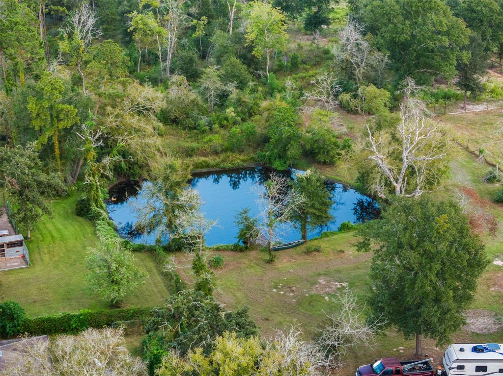 17203 Whippoorwill Road, Navasota, Texas image 8