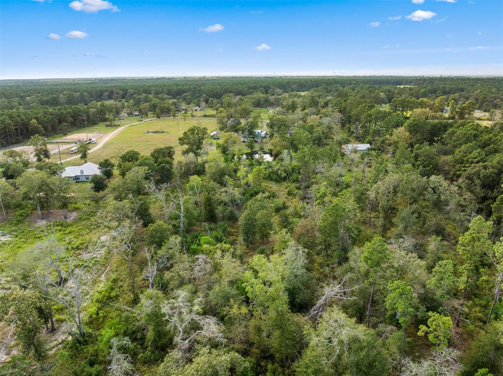 17203 Whippoorwill Road, Navasota, Texas image 26
