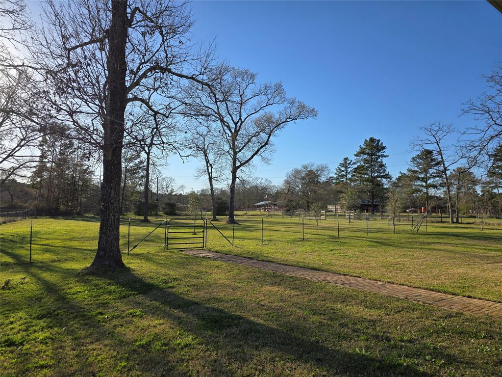 17203 Whippoorwill Road, Navasota, Texas image 29