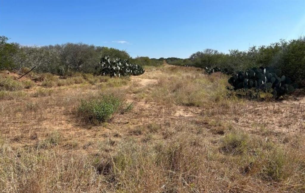 N Mesquite Street, Pearsall, Texas image 6