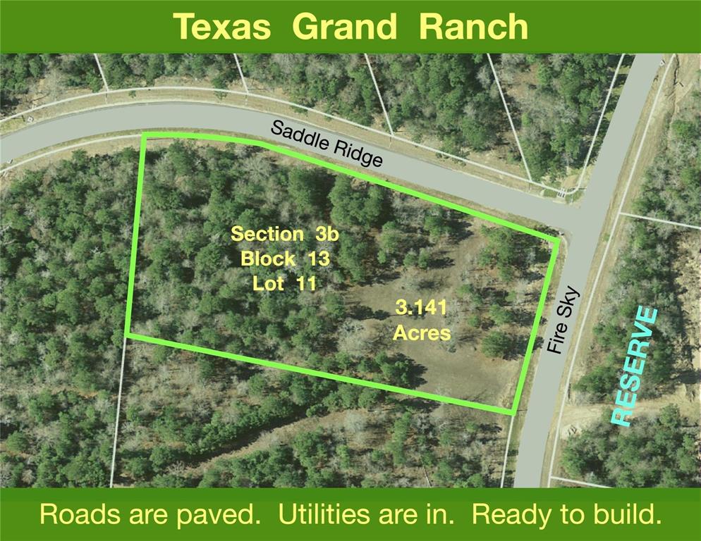 3b-13-11 Saddle Ridge Ridge, Huntsville, Texas image 1