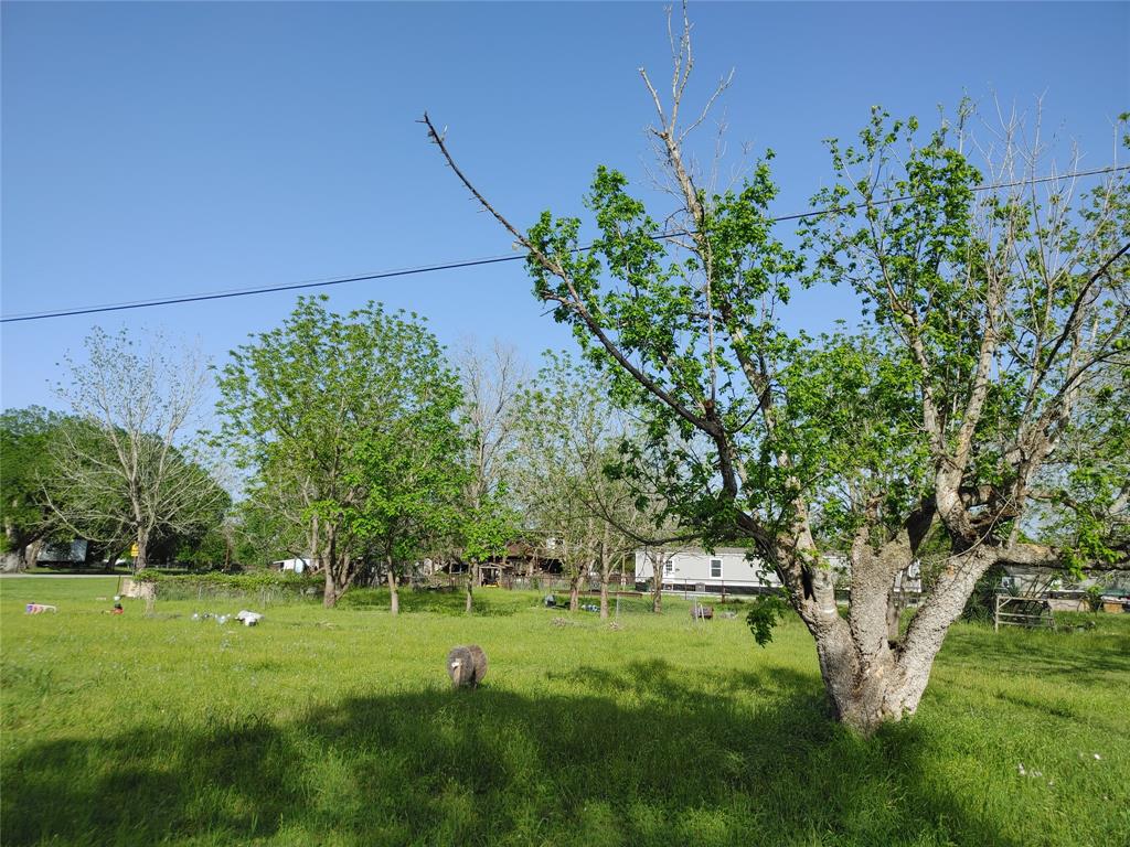 N Hancock, Columbus, Texas image 1