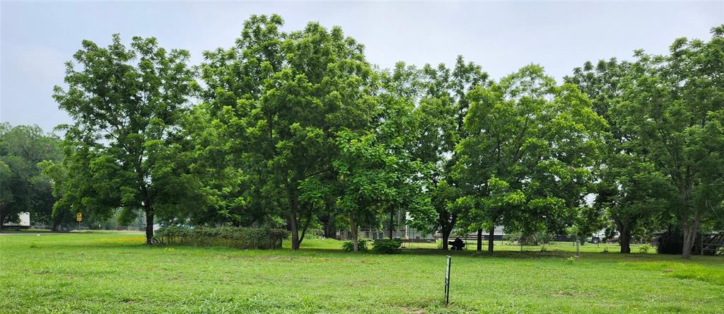 N Hancock, Columbus, Texas image 9