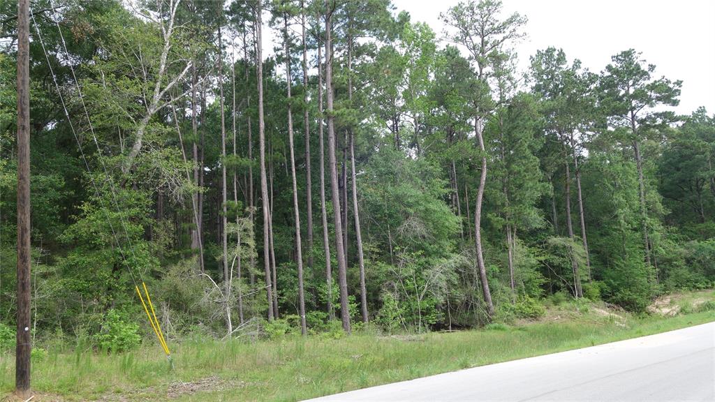 215 Grey Feather Road, Huntsville, Texas image 4