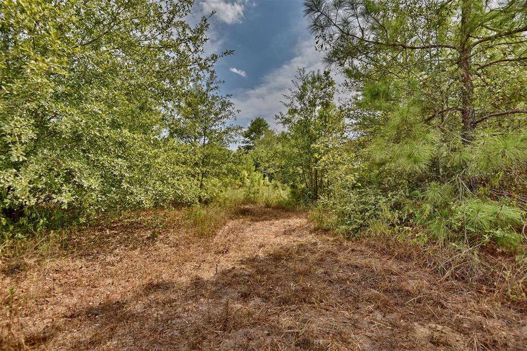 0000 Riley, Waller, Texas image 8
