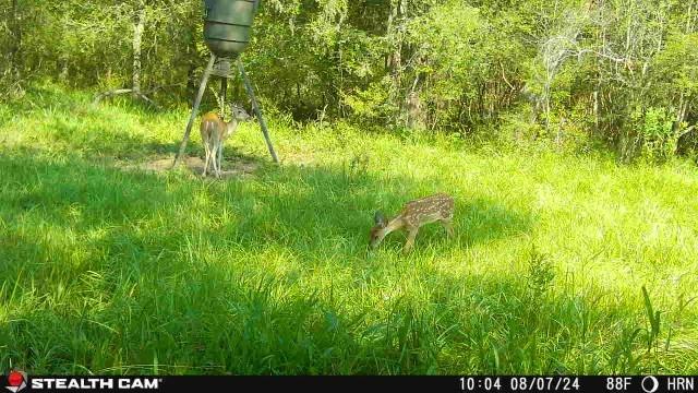 840 Huntington Road, Rosenberg, Texas image 8