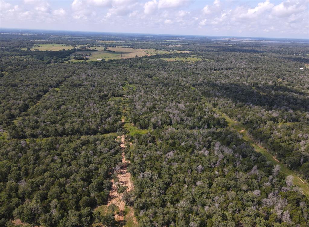 TBD High Crossing Road - Tract 7-8, Smithville, Texas image 11