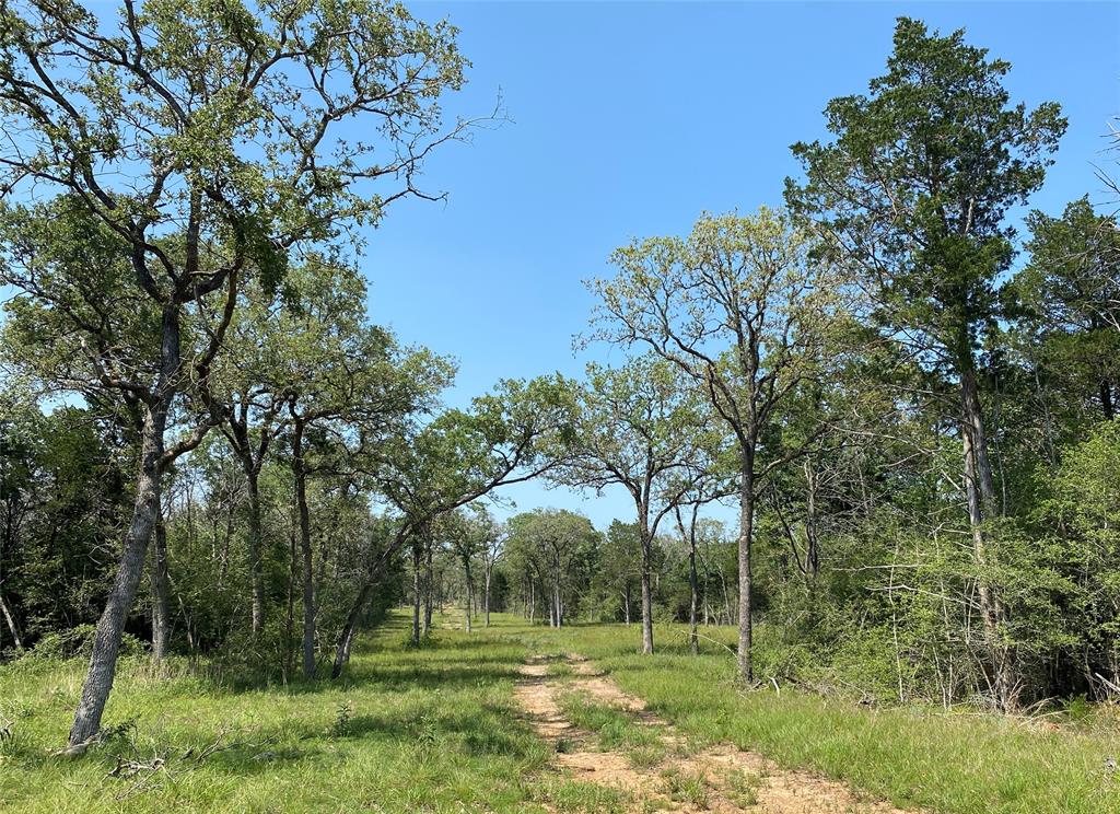 TBD High Crossing Road - Tract 7-8, Smithville, Texas image 6