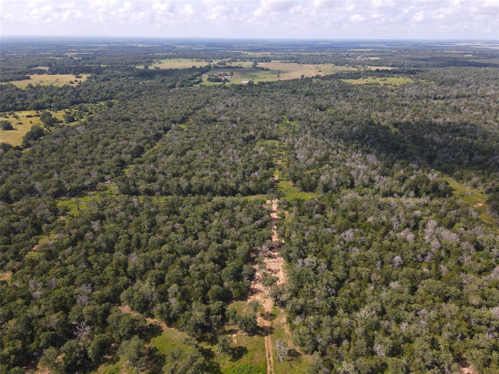 TBD High Crossing Road - Tract 7-8, Smithville, Texas image 10