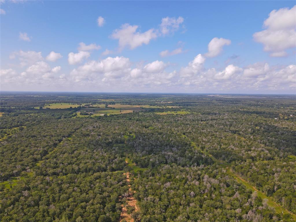 TBD High Crossing Road - Tract 7-8, Smithville, Texas image 9