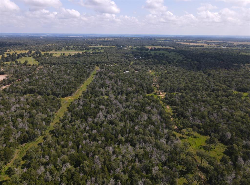 TBD High Crossing Road - Tract 7-8, Smithville, Texas image 12