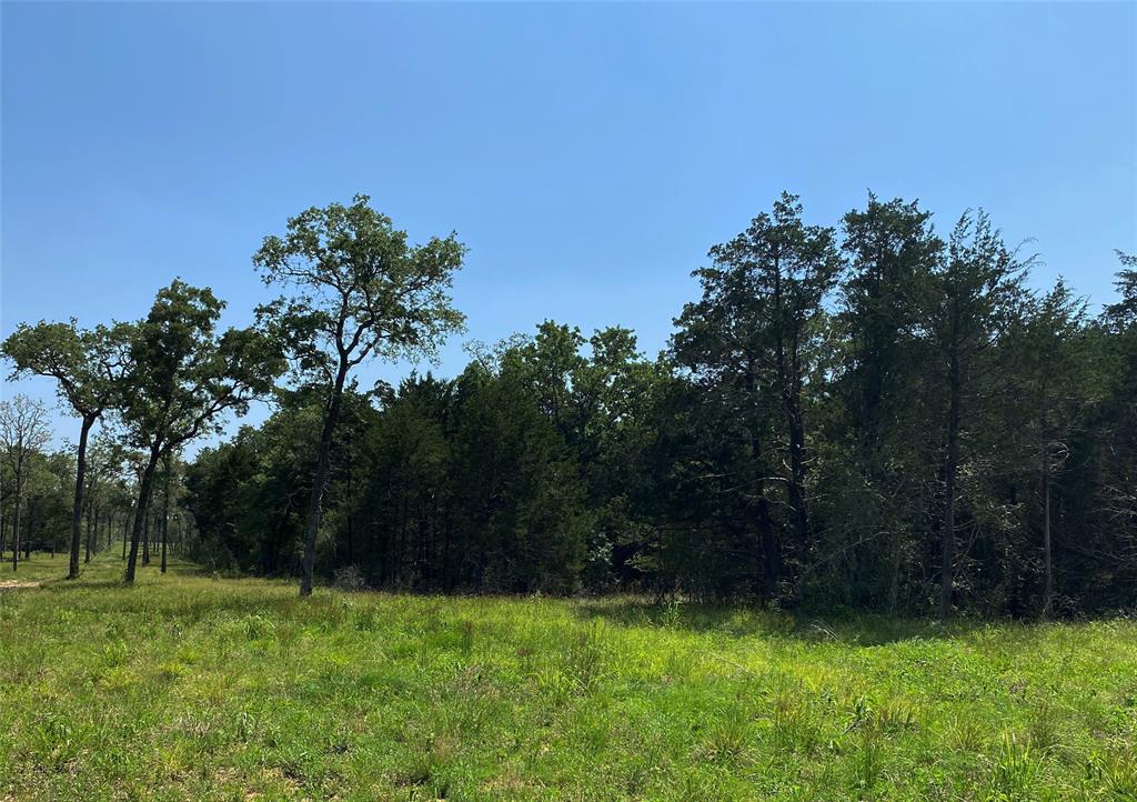 TBD High Crossing Road - Tract 7-8, Smithville, Texas image 5