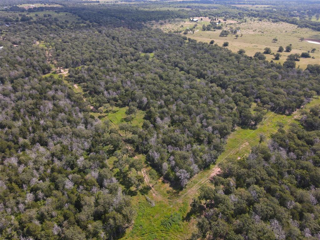 TBD High Crossing Road - Tract 7-8, Smithville, Texas image 1