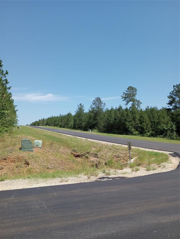 15785 Woodlife Road, Willis, Texas image 3