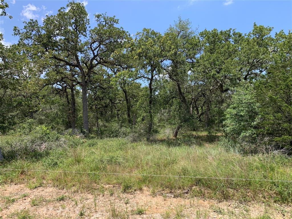 Private Road 1581, Hallettsville, Texas image 15