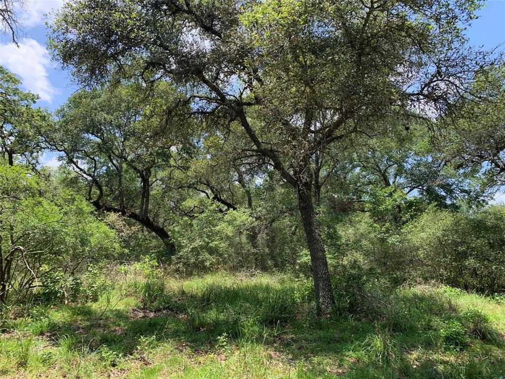 Private Road 1581, Hallettsville, Texas image 6