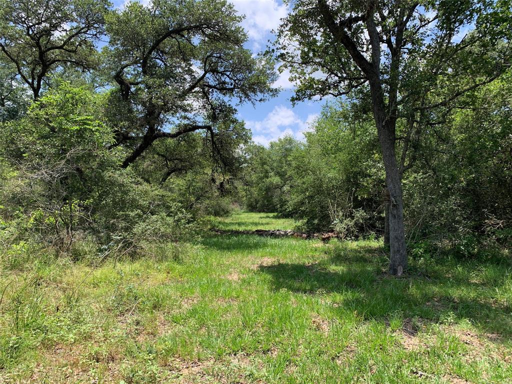 Private Road 1581, Hallettsville, Texas image 1