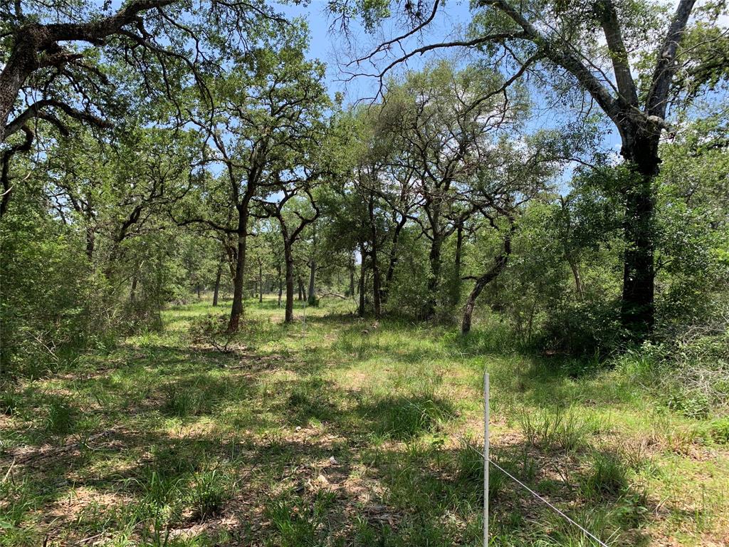 Private Road 1581, Hallettsville, Texas image 11