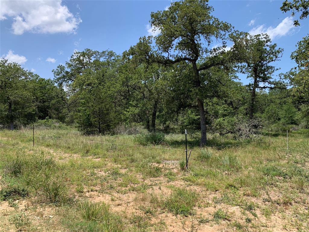 Private Road 1581, Hallettsville, Texas image 12