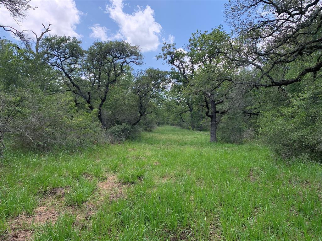 Private Road 1581, Hallettsville, Texas image 19