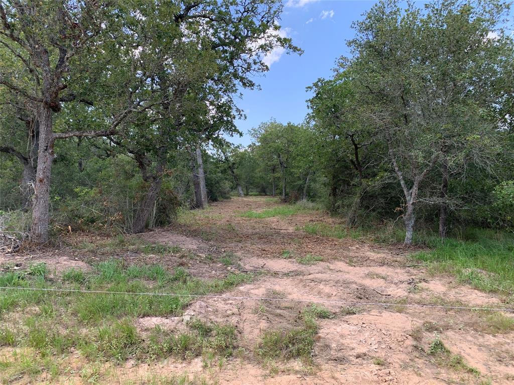 Private Road 1581, Hallettsville, Texas image 18