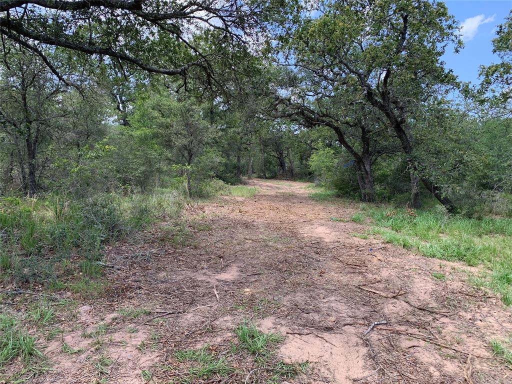 Private Road 1581, Hallettsville, Texas image 10