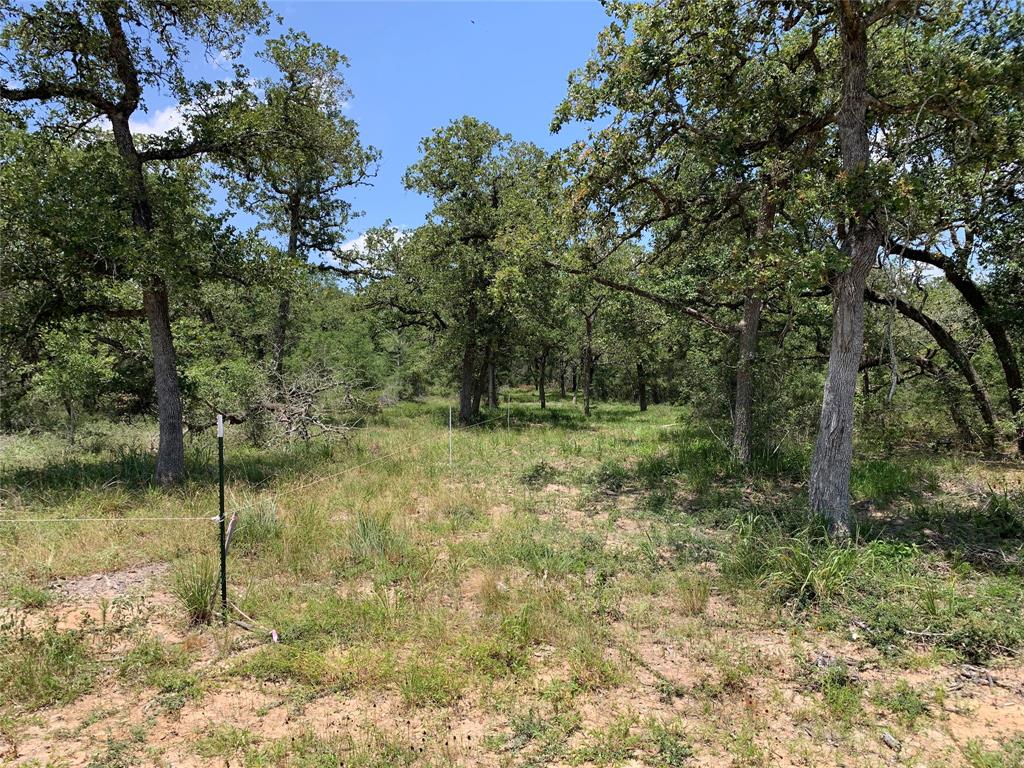 Private Road 1581, Hallettsville, Texas image 13