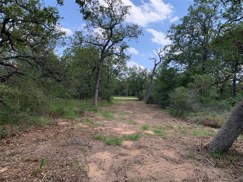 Private Road 1581, Hallettsville, Texas image 16