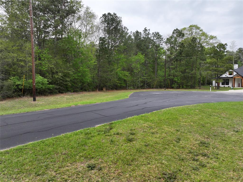 17528 Plantation Dr Dr, Waller, Texas image 5